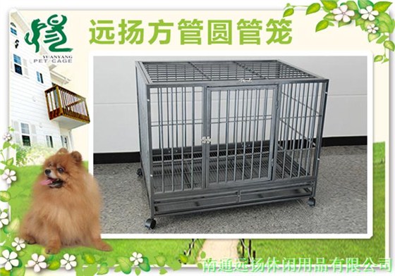 狗籠子