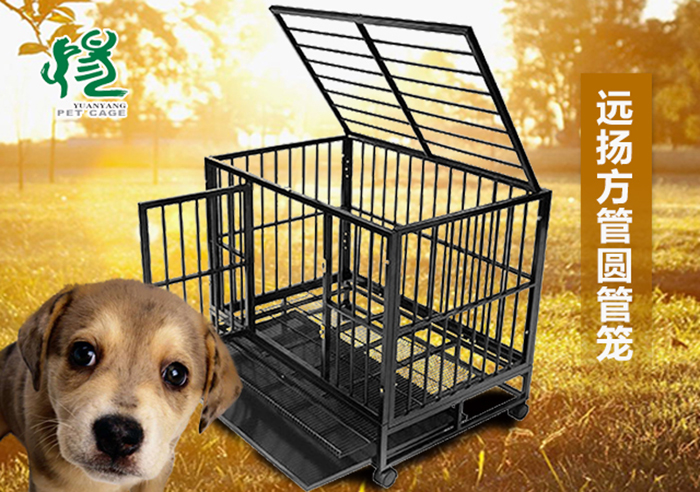 寵物狗籠子批發(fā)