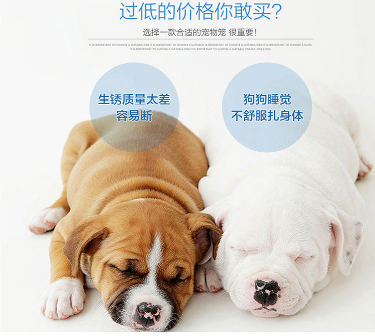 寵物圍欄