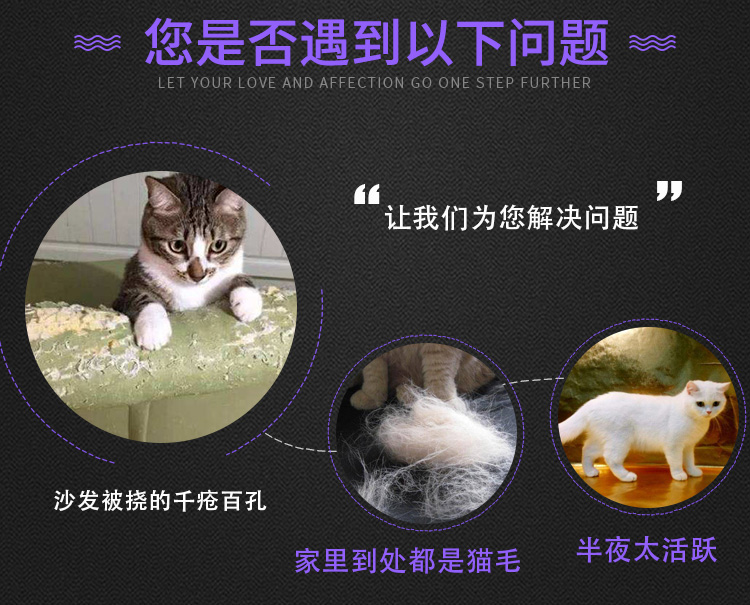 貓籠子批發